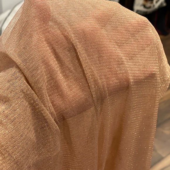 See thru light pink shimmering top ✨ - Picture 4 of 4